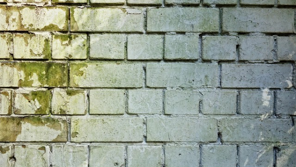 Μούχλα και υγρασία σε τοίχο – Υδραυλικός Homefixers.gr δίνει λύση